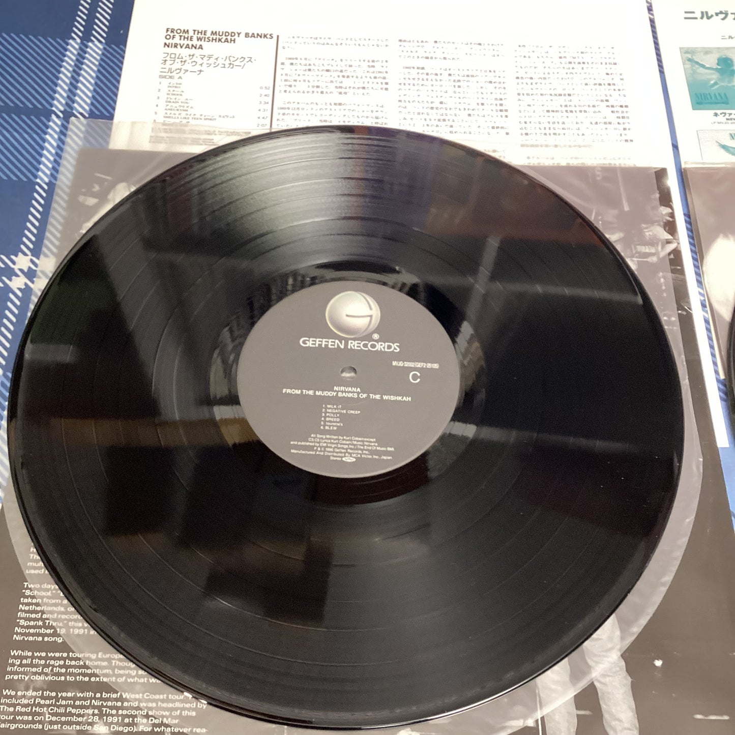 Nirvana - The Muddy Banks of The Mishkah