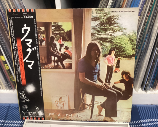 Pink Floyd - Ummagumma